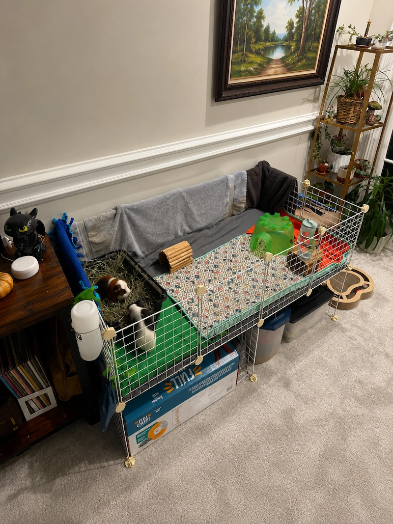 Amazon Basics 6-Cube Organizer setup