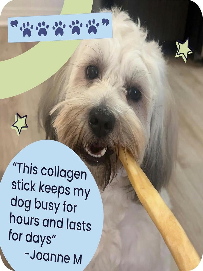 Pawstruck Beef Collagen Sticks Review 2026 Is It Safe for Dogs? 4 Pawstruck Beef Collagen Sticks verdict